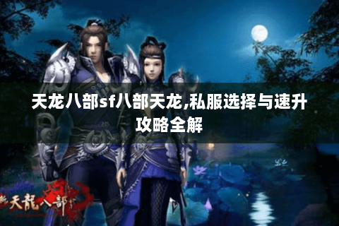 天龙八部sf八部天龙,私服选择与速升攻略全解 天龙八部sf八部天龙,私服选择与速升攻略全解
