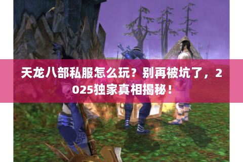 天龙八部私服怎么玩?别再被坑了,2025独家真相揭秘! 天龙八部私服怎么玩?别再被坑了,2025独家真相揭秘!