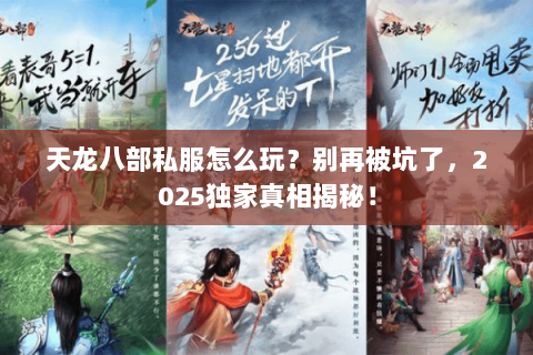 天龙八部私服怎么玩?别再被坑了,2025独家真相揭秘! 天龙八部私服怎么玩?别再被坑了,2025独家真相揭秘!