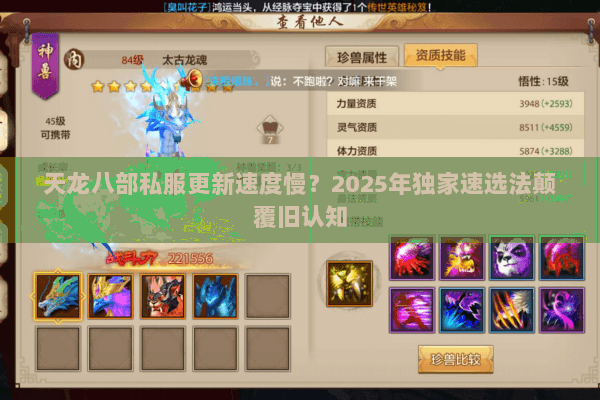 天龙八部私服更新速度慢？2025年独家速选法颠覆旧认知