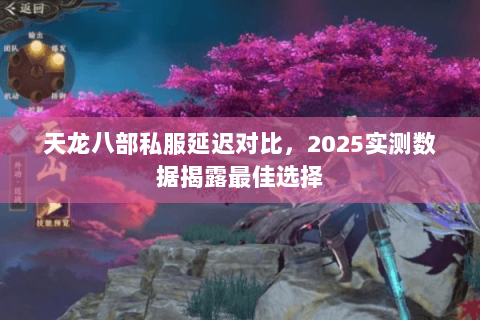 天龙八部私服延迟对比，2025实测数据揭露最佳选择