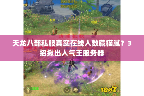 天龙八部私服真实在线人数藏猫腻？3招揪出人气王服务器