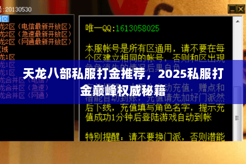 天龙八部私服打金推荐，2025私服打金巅峰权威秘籍