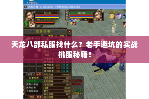 天龙八部私服找什么?老手避坑的实战挑服秘籍! 天龙八部私服找什么?老手避坑的实战挑服秘籍!