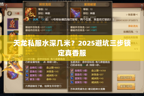 天龙私服水深几米?2025避坑三步锁定真香服 天龙私服水深几米?2025避坑三步锁定真香服