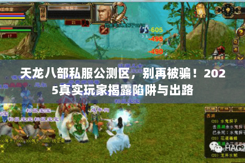天龙八部私服公测区，别再被骗！2025真实玩家揭露陷阱与出路