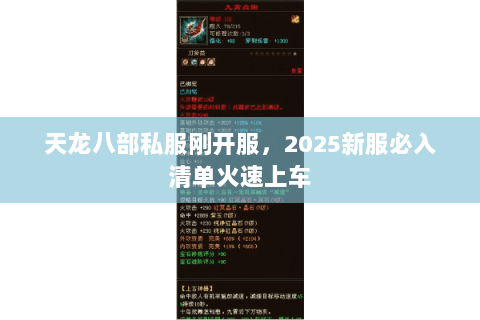 天龙八部私服刚开服，2025新服必入清单火速上车