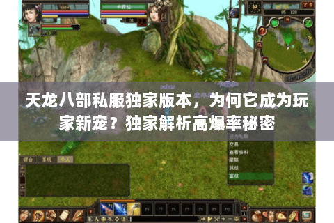 天龙八部私服独家版本，为何它成为玩家新宠？独家解析高爆率秘密