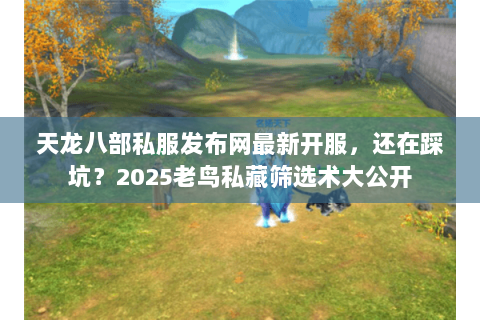 天龙八部私服发布网最新开服，还在踩坑？2025老鸟私藏筛选术大公开