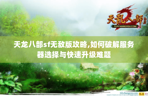 天龙八部sf无敌版攻略,如何破解服务器选择与快速升级难题 天龙八部sf无敌版攻略,如何破解服务器选择与快速升级难题