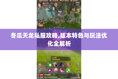 冬瓜天龙私服攻略,版本特色与玩法优化全解析 冬瓜天龙私服攻略,版本特色与玩法优化全解析