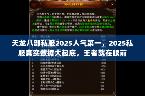 天龙八部私服2025人气第一,2025私服真实数据大起底,王者就在眼前 天龙八部私服2025人气第一,2025私服真实数据大起底,王者就在眼前