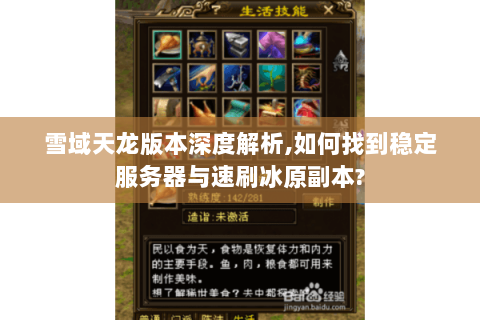 雪域天龙版本深度解析,如何找到稳定服务器与速刷冰原副本?
