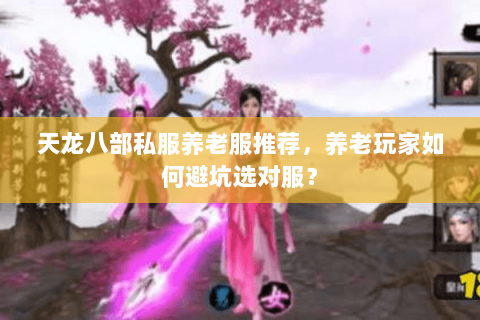 天龙八部私服养老服推荐,养老玩家如何避坑选对服? 天龙八部私服养老服推荐,养老玩家如何避坑选对服?