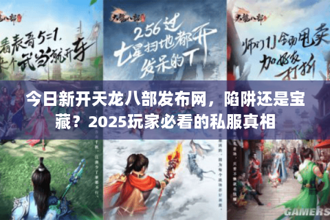 今日新开天龙八部发布网，陷阱还是宝藏？2025玩家必看的私服真相