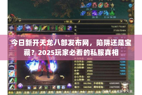 今日新开天龙八部发布网，陷阱还是宝藏？2025玩家必看的私服真相