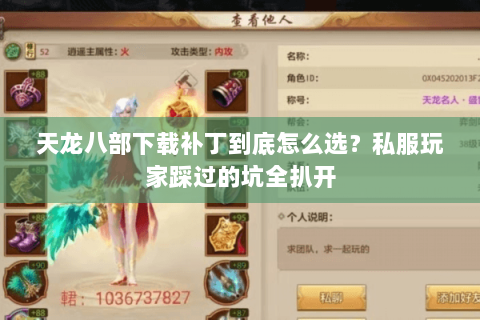 天龙八部下载补丁到底怎么选?私服玩家踩过的坑全扒开 天龙八部下载补丁到底怎么选?私服玩家踩过的坑全扒开