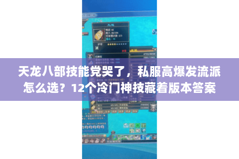 天龙八部技能党哭了，私服高爆发流派怎么选？12个冷门神技藏着版本答案
