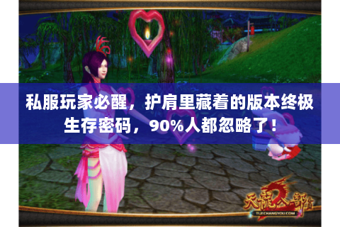 私服玩家必醒,护肩里藏着的版本终极生存密码,90%人都忽略了! 私服玩家必醒,护肩里藏着的版本终极生存密码,90%人都忽略了!