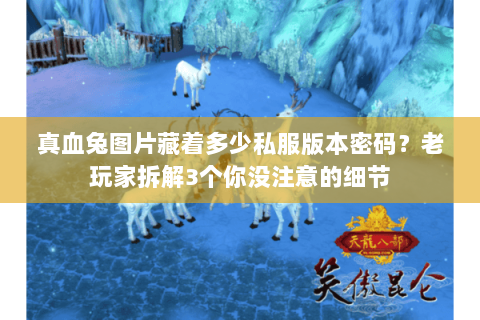 真血兔图片藏着多少私服版本密码？老玩家拆解3个你没注意的细节