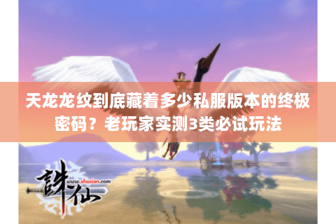 天龙龙纹到底藏着多少私服版本的终极密码？老玩家实测3类必试玩法