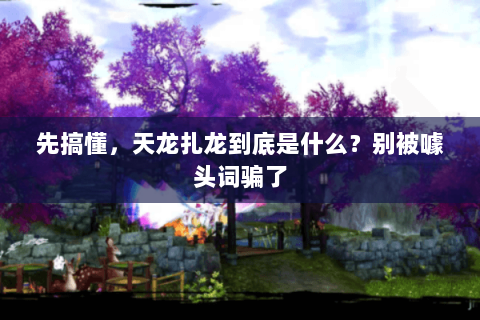 先搞懂，天龙扎龙到底是什么？别被噱头词骗了