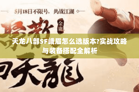 天龙八部SF峨眉怎么选版本?实战攻略与装备搭配全解析 天龙八部SF峨眉怎么选版本?实战攻略与装备搭配全解析