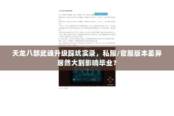 天龙八部武魂升级踩坑实录，私服/官服版本差异居然大到影响毕业？