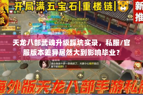 天龙八部武魂升级踩坑实录,私服/官服版本差异居然大到影响毕业? 天龙八部武魂升级踩坑实录,私服/官服版本差异居然大到影响毕业?