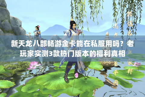 新天龙八部畅游金卡能在私服用吗?老玩家实测3款热门版本的福利真相 新天龙八部畅游金卡能在私服用吗?老玩家实测3款热门版本的福利真相