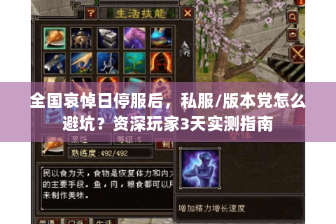全国哀悼日停服后，私服/版本党怎么避坑？资深玩家3天实测指南