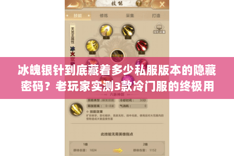 冰魄银针到底藏着多少私服版本的隐藏密码？老玩家实测3款冷门服的终极用法