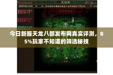 今日新服天龙八部发布网真实评测，85%玩家不知道的筛选秘技