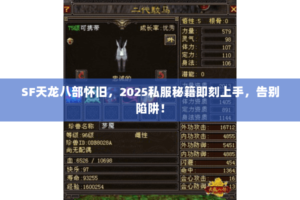 SF天龙八部怀旧，2025私服秘籍即刻上手，告别陷阱！