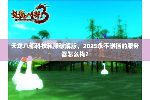 天龙八部科技私服破解版,2025永不删档的服务器怎么找? 天龙八部科技私服破解版,2025永不删档的服务器怎么找?