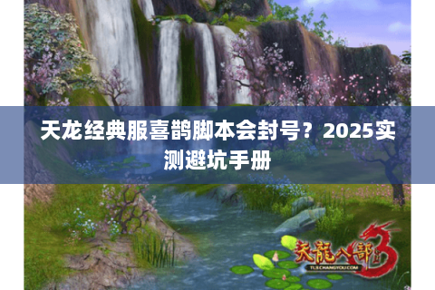 天龙经典服喜鹊脚本会封号？2025实测避坑手册