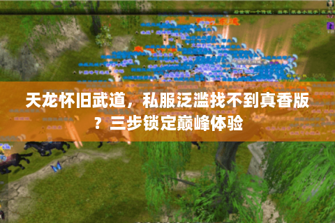 天龙怀旧武道,私服泛滥找不到真香版?三步锁定巅峰体验 天龙怀旧武道,私服泛滥找不到真香版?三步锁定巅峰体验