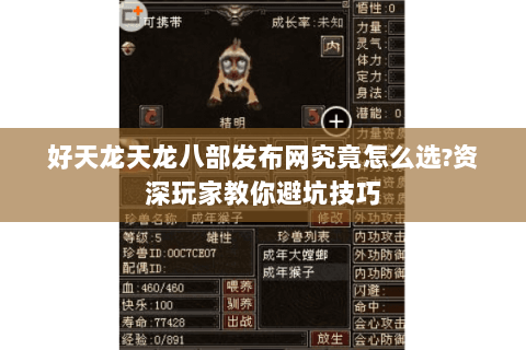 好天龙天龙八部发布网究竟怎么选?资深玩家教你避坑技巧