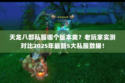 天龙八部私服哪个版本爽？老玩家实测对比2025年最新5大私服数据！