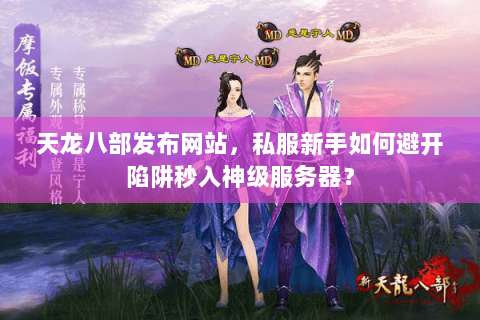 天龙八部发布网站，私服新手如何避开陷阱秒入神级服务器？