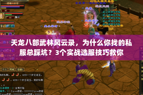 天龙八部武林风云录，为什么你找的私服总踩坑？3个实战选服技巧救你