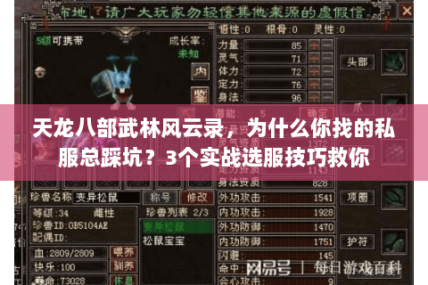 天龙八部武林风云录，为什么你找的私服总踩坑？3个实战选服技巧救你