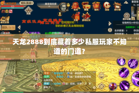 天龙2888到底藏着多少私服玩家不知道的门道？
