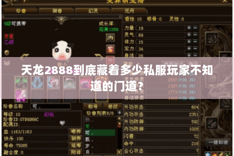 天龙2888到底藏着多少私服玩家不知道的门道？