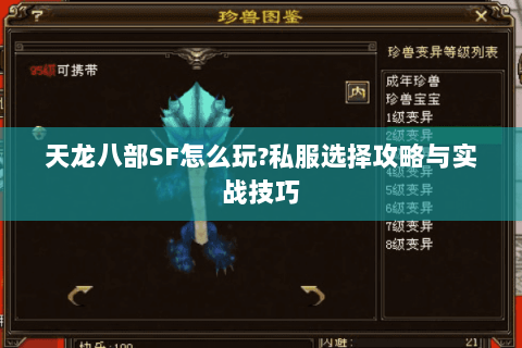 天龙八部SF怎么玩?私服选择攻略与实战技巧 天龙八部SF怎么玩?私服选择攻略与实战技巧