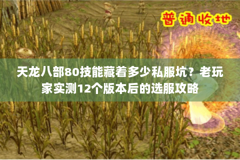 天龙八部80技能藏着多少私服坑?老玩家实测12个版本后的选服攻略 天龙八部80技能藏着多少私服坑?老玩家实测12个版本后的选服攻略