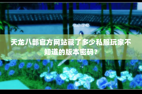 天龙八部官方网站藏了多少私服玩家不知道的版本密码? 天龙八部官方网站藏了多少私服玩家不知道的版本密码?