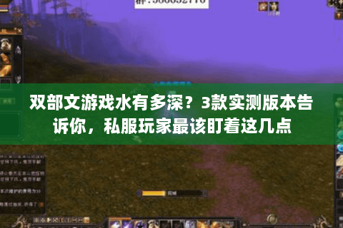 双部文游戏水有多深？3款实测版本告诉你，私服玩家最该盯着这几点