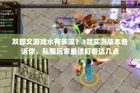 双部文游戏水有多深？3款实测版本告诉你，私服玩家最该盯着这几点