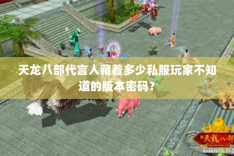 天龙八部代言人藏着多少私服玩家不知道的版本密码？